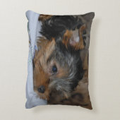 coussin décoratif avec un petit chien (Dos(Vertical))