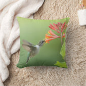 Coussin décoratif Colibri et Chèvrefeuille (Couverture)
