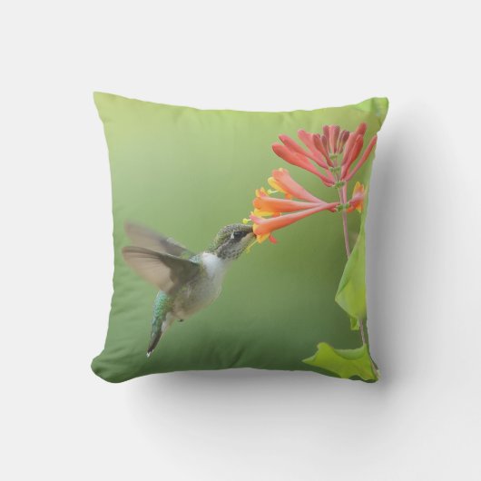 Coussin décoratif Colibri et Chèvrefeuille (Recto)