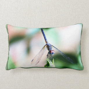 Coussin décoratif de mouche de dragon