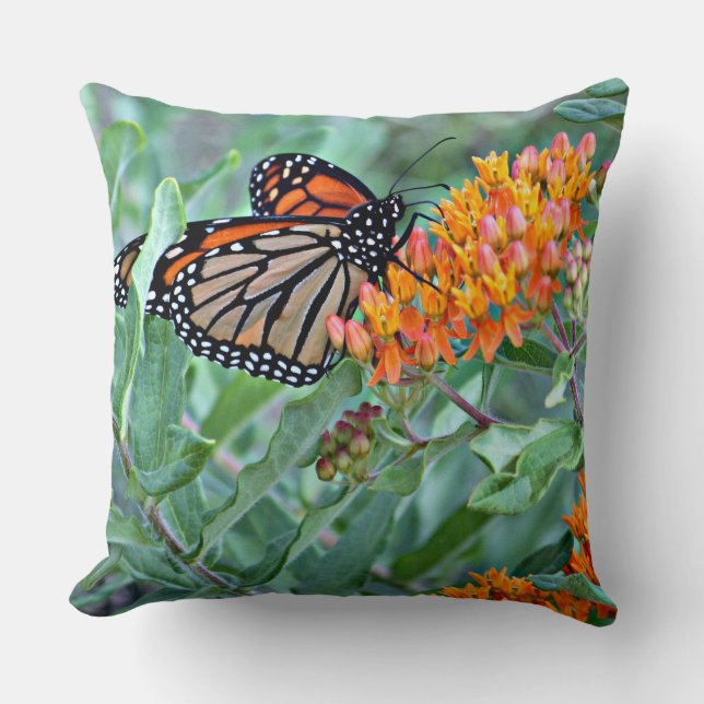 Coussin décoratif de papillon (Recto)