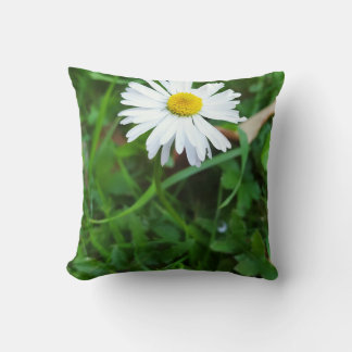Coussin décoratif, marguerite, fleur 