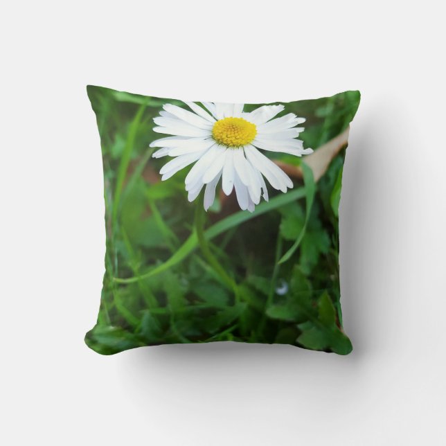 Coussin décoratif, marguerite, fleur  (Recto)