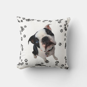 Coussin décoratif pour chien de terrier de boston