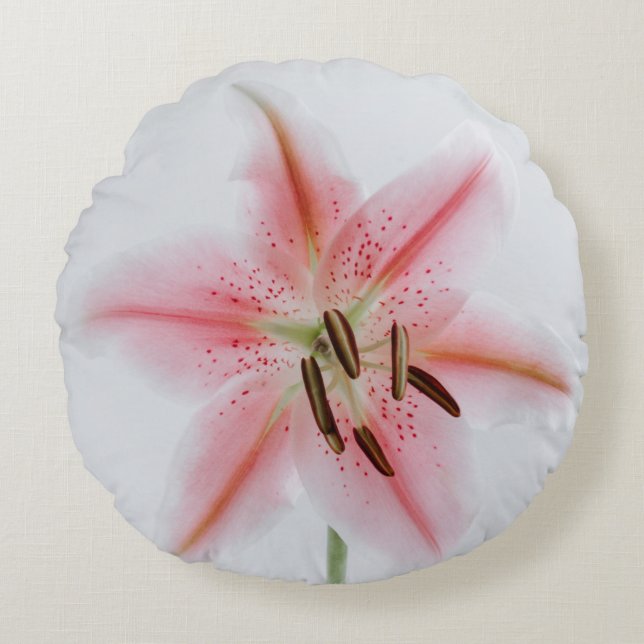 Coussin décoratif rond (40,6 cm) (Devant)