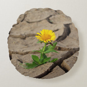 Coussin décoratif rond (40,6 cm)