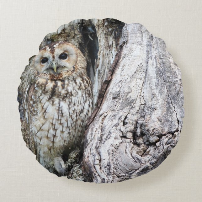 Coussin décoratif rond (40,6 cm) (Devant)