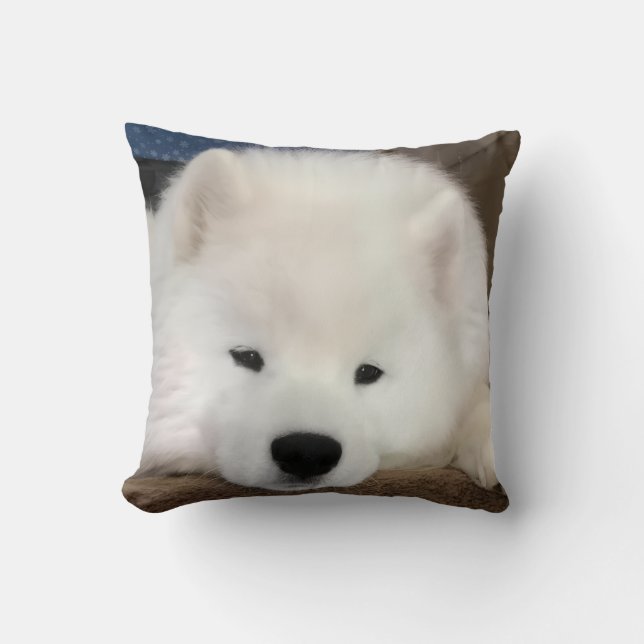 Coussin décoratif Samoyède endormi 40 x 40 cm (Recto)