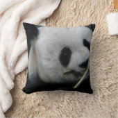 Coussin Décoration Animaux Douillette (Couverture)