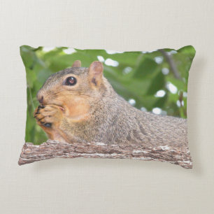 Coussin d'écureuil