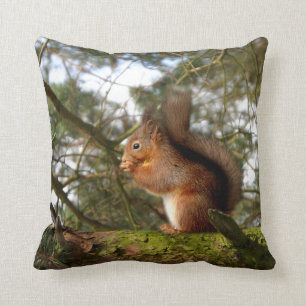 Coussin d'écureuil roux/Cushion
