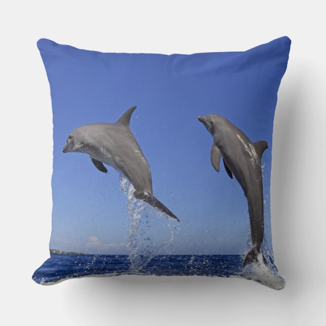 Coussin Delfin, Delphin, Tuemmler plus brut, Tursiops 3 (Recto)