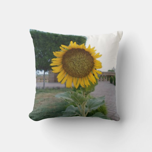 Coussin Dernier tournesol cool (Recto)