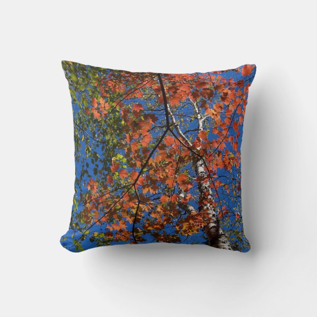 Coussin des feuilles d'automne colorées réversible (Recto)