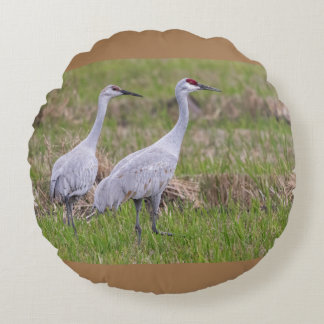 Coussin des grues de Sand Hill