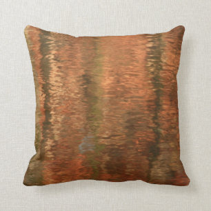 Coussin des réflexions deux de rivière