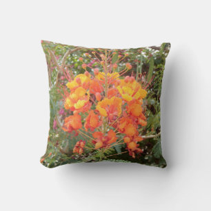 COUSSIN DÉSERT DE CALIFORNIE FLEURS #2 JETER PILOTE