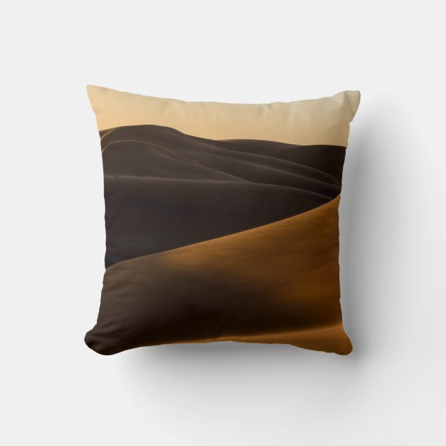 COUSSIN DÉSERT PENDANT LE COUCHER DE SOLEIL (Recto)