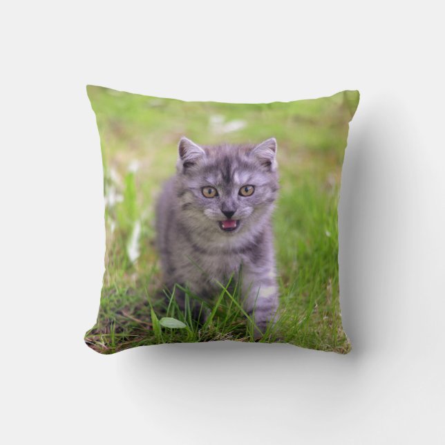 Coussin Design photo Super Cute Grey Kitten (Recto)