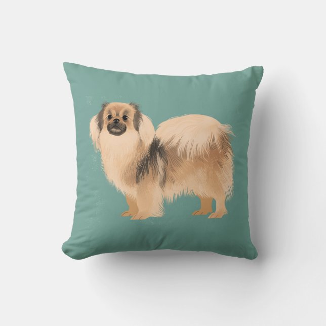 Coussin d'Espagne tibétaine - à deux côtés (Recto)