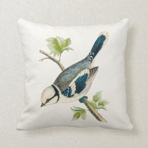 Coussin Dessin bleu d'oiseaux d'oiseau chanteur d'oiseau