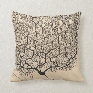 Coussin Dessin Neuron De Santiago Ramón Y Cajal