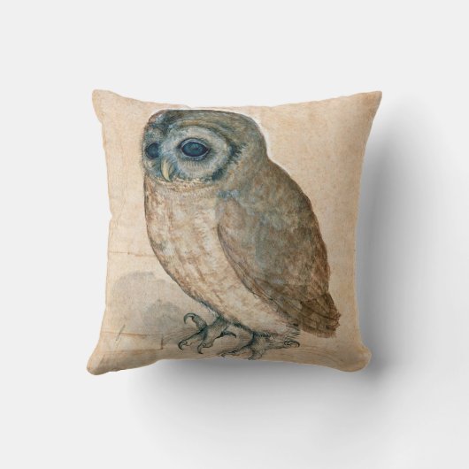 COUSSIN DESSINS D'ANIMAUX DE LA RENAISSANCE / LE HIBOU (Verso)