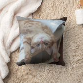 Coussin Détente de Kitty (Couverture)
