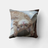 Coussin Détente de Kitty (Verso)