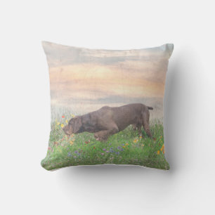 Coussin Deutsch Drahthaar