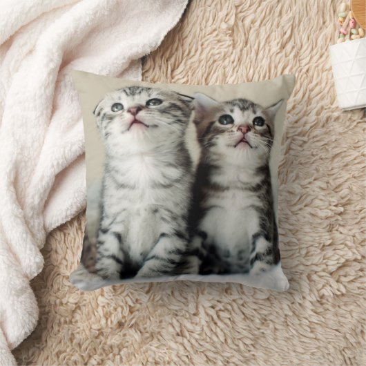 Coussin Deux chatons mignons (Couverture)