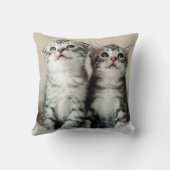 Coussin Deux chatons mignons (Verso)