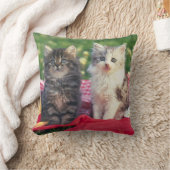 Coussin Deux chatons se reposant sur une couverture (Couverture)