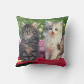 Coussin Deux chatons se reposant sur une couverture (Verso)