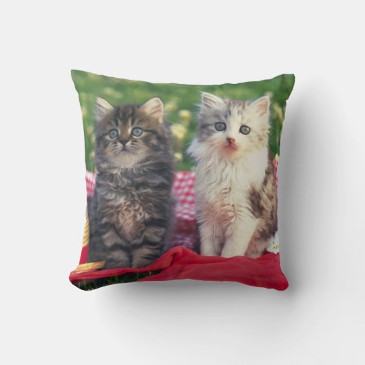 Coussin Deux chatons se reposant sur une couverture (Recto)