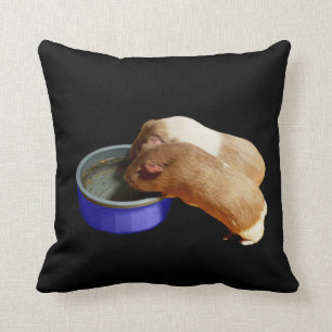 Coussin Deux Cochons De Guinée Brown Et Blancs,