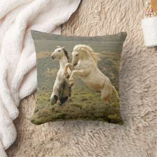 Coussin Deux étalons sauvages se battent