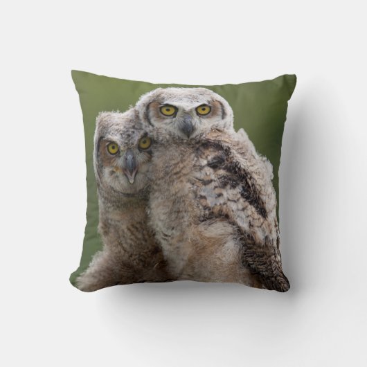 Coussin Deux grands hiboux à cornes de bébé (Recto)