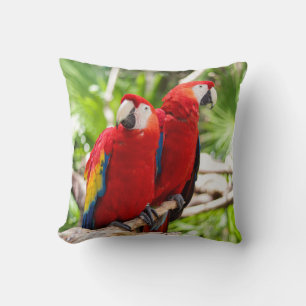 Coussin Deux perroquets colorés sur une branche d'arbre