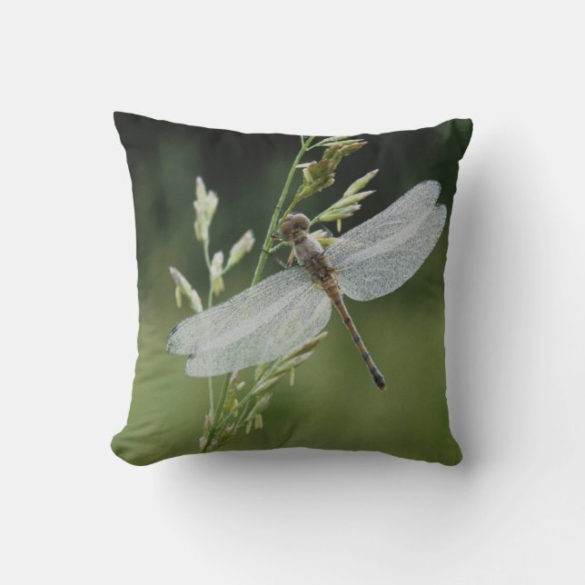 Coussin Dew couvert Darner Dragonfly (Recto)