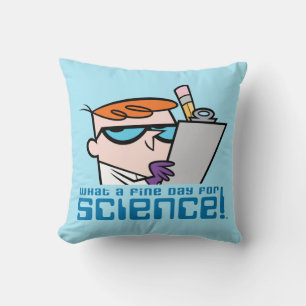 Coussin Dexter - Quel Beau Jour Pour La Science !