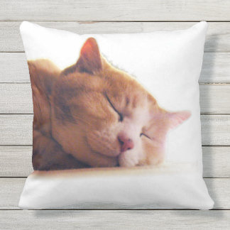 COUSSIN D'EXTÉRIEUR うちのかわいこちゃんのクッション