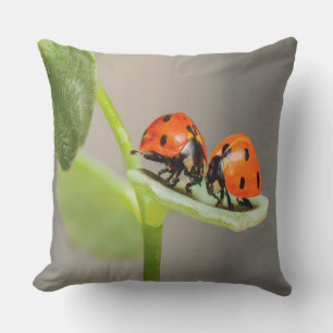 Coussin D'extérieur Baiser Ladybugs