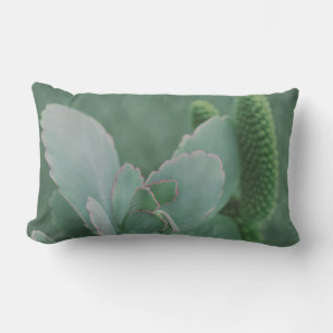 Coussin D'extérieur Belle photo d'art Plante du désert