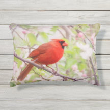 Cardinal rouge peint dans l'arbre avec des fleurs