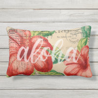 Carte postale vintage Hawaii Hibiscus