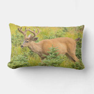 Coussin D'extérieur Cerf à queue noire