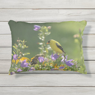 Coussin D'extérieur Chardonneret sur une fleur de campanule