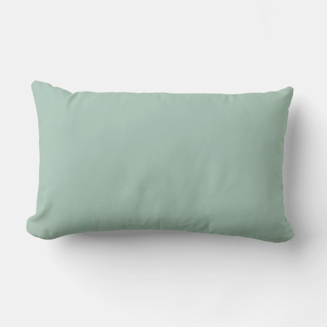 Coussin D'extérieur Couleur d'échelle Aqua Correspondante (Recto)