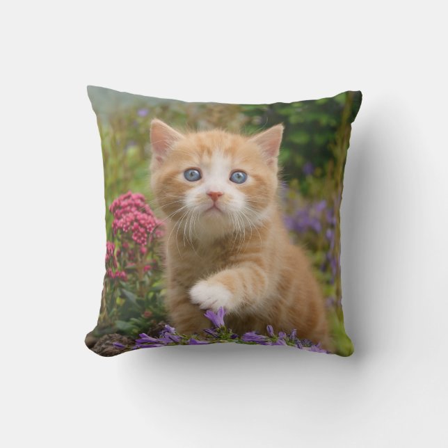 Coussin D'extérieur Cute Ginger Chat Kitten dans le jardin Photo - (Recto)
